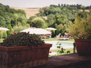 Hotelgarten mit Pool und Sonnenliegen in Toskana