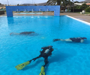 Taucher im Pool auf Porto Santo
