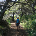 Frau auf Wanderweg in Kroatien