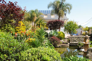 Garten mit Teich Hotel Bosque Mar