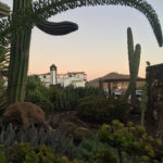 Kakteen Garten Hotel Mahoh Fuerteventura