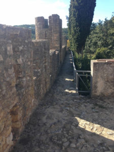 Auf der Burgmauer Tomar Centro Portugal