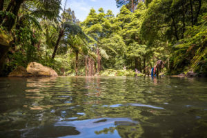 Caldeira Velha im Wald auf Sao Miguel