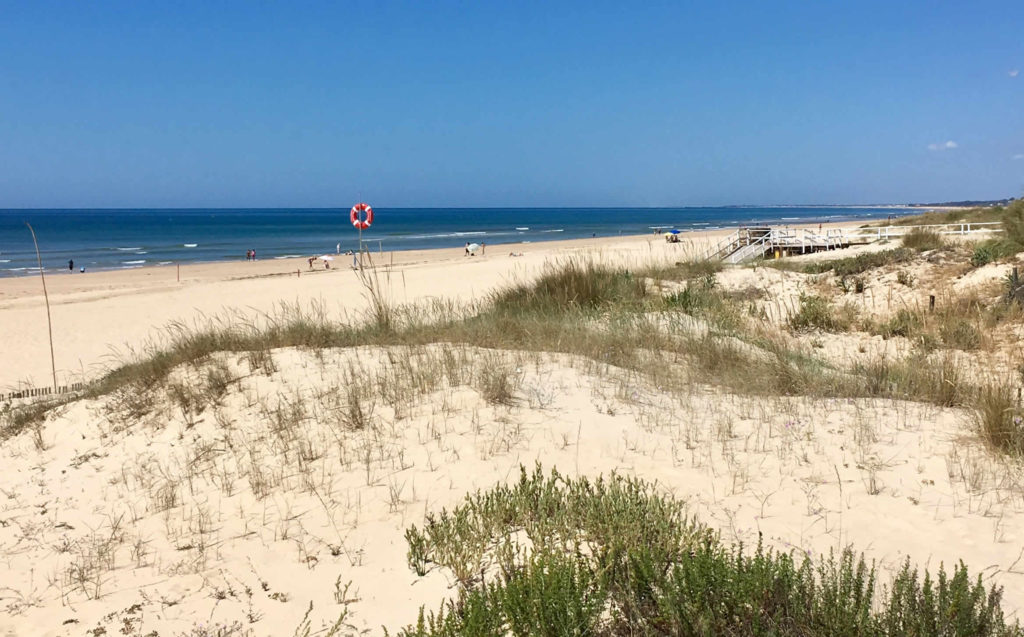 Dünen und Strand an der Ostalgarve