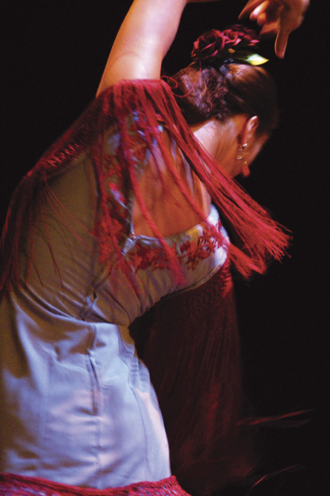 Flamenco-Tänzerin Sevilla