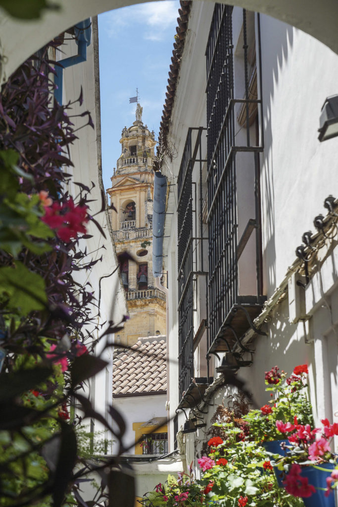 Calle das Flores Córdoba