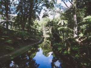 Teich im Terra Nostra Park