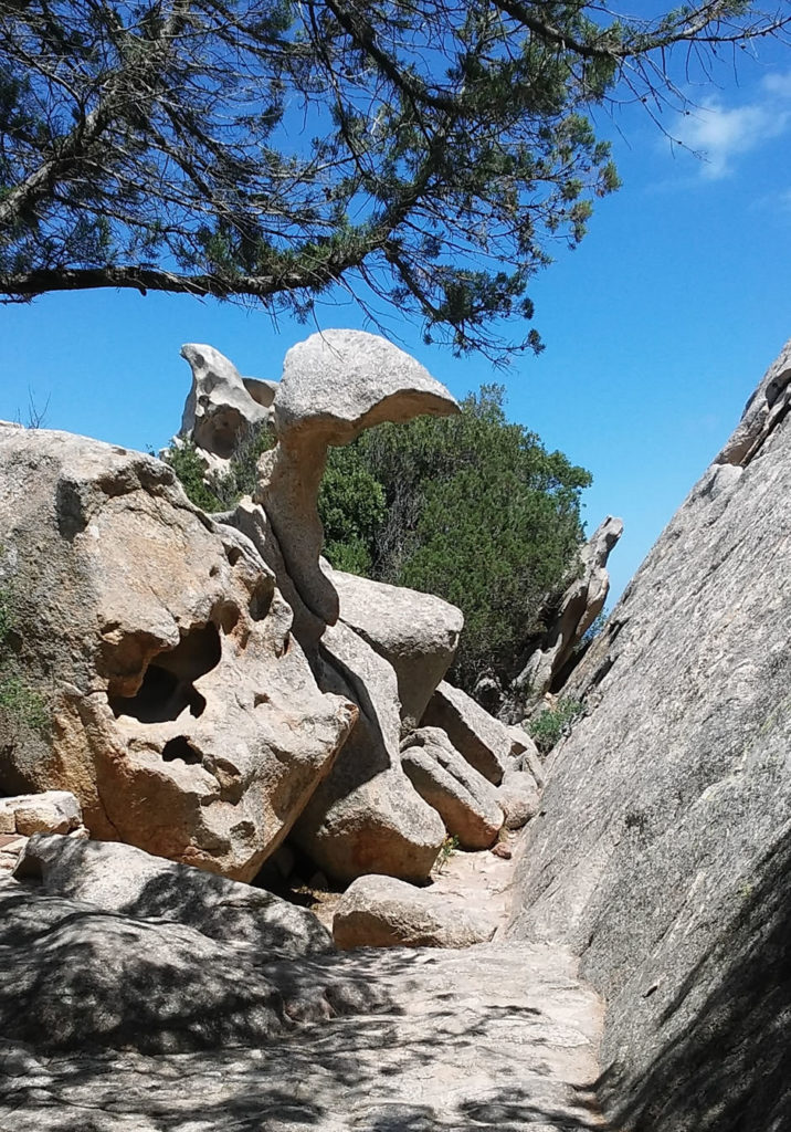 Capo d'Orso