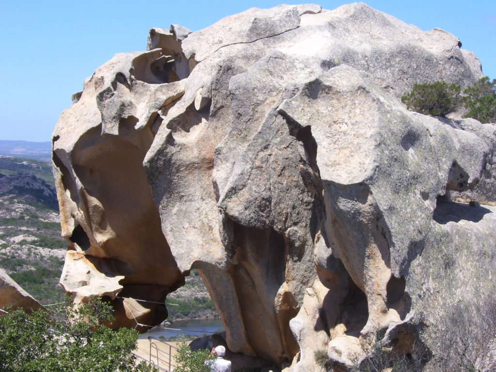 Bär Capo d'Orso Nordsardinien