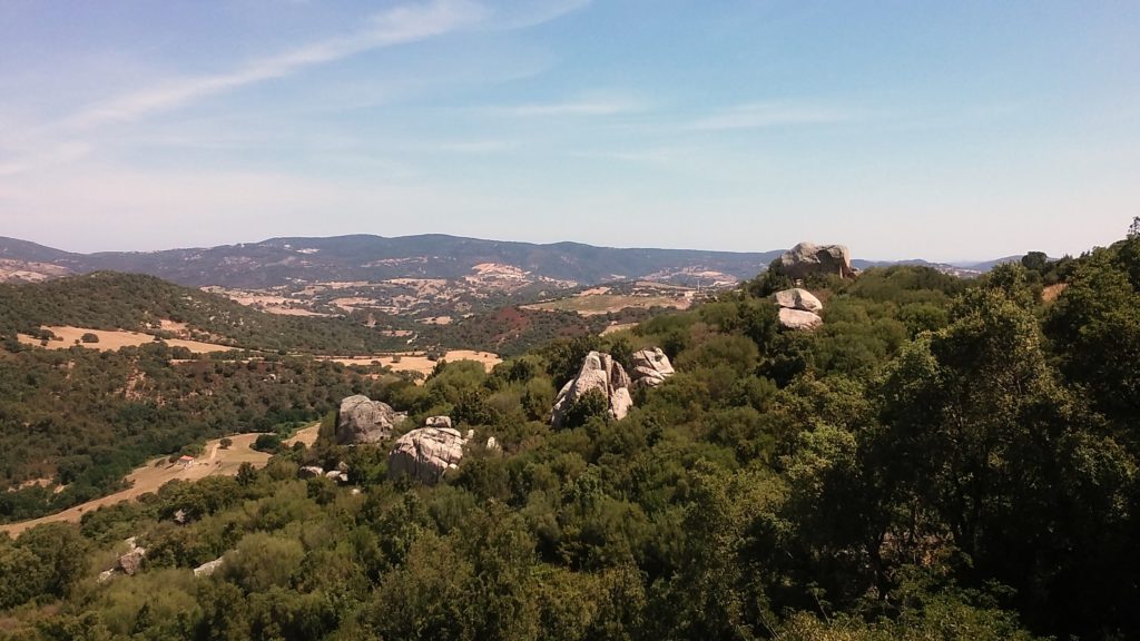 Gallura Landschaft aus Trenino Verde