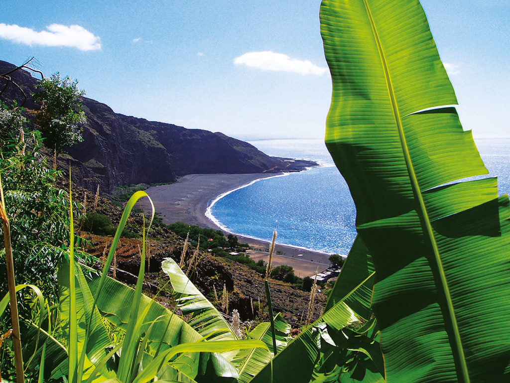 Strand auf Santo Antao Kapverden mit Bananenpflanzen