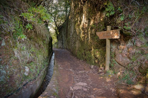 Wanderweg Balcoes Levada Madeira
