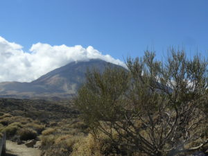 Pico del Teide Teneriffa