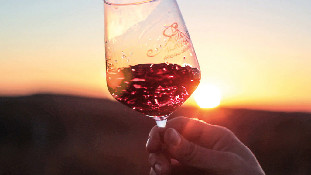 Rioja Wein Sonnenuntergang