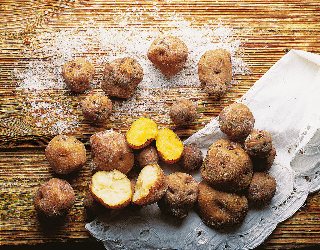 Papas Arrugadas von den Kanaren