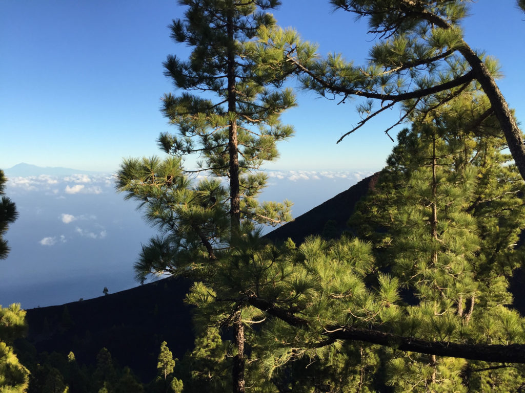 Ausblick La Palma auf Nachbarinseln
