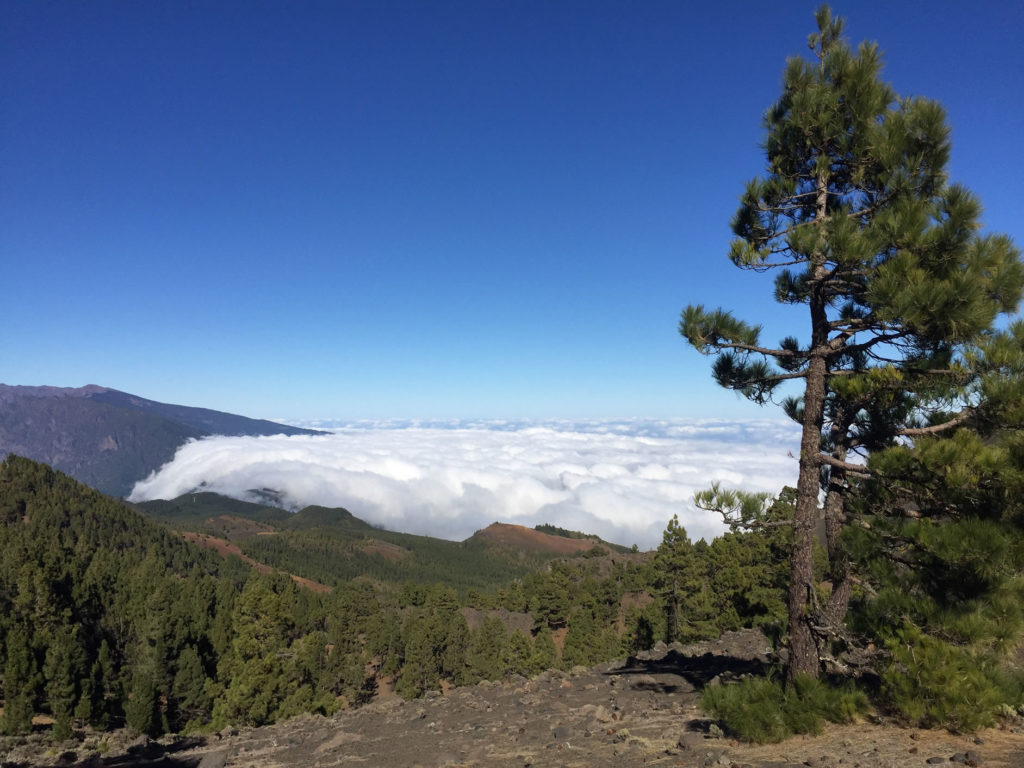 Woken Ostseite La Palma