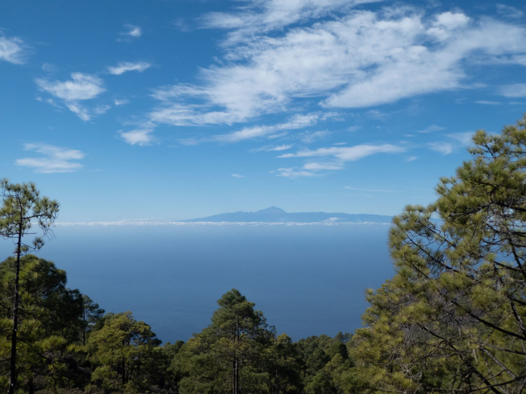 Blick auf Teide Naturpark Tamadaba