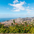 Madeira Blick auf Funchal