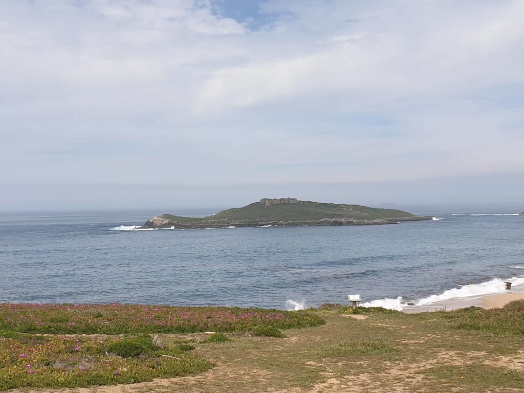 Insel Ilha do Pessegueiro