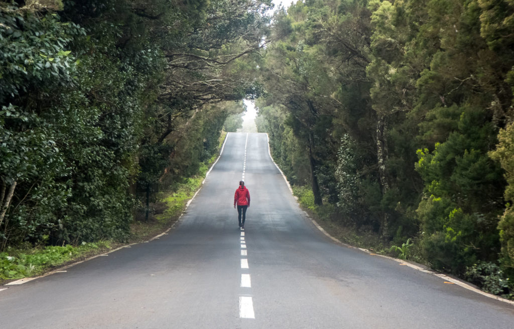 Straße La Gomera Garajonay