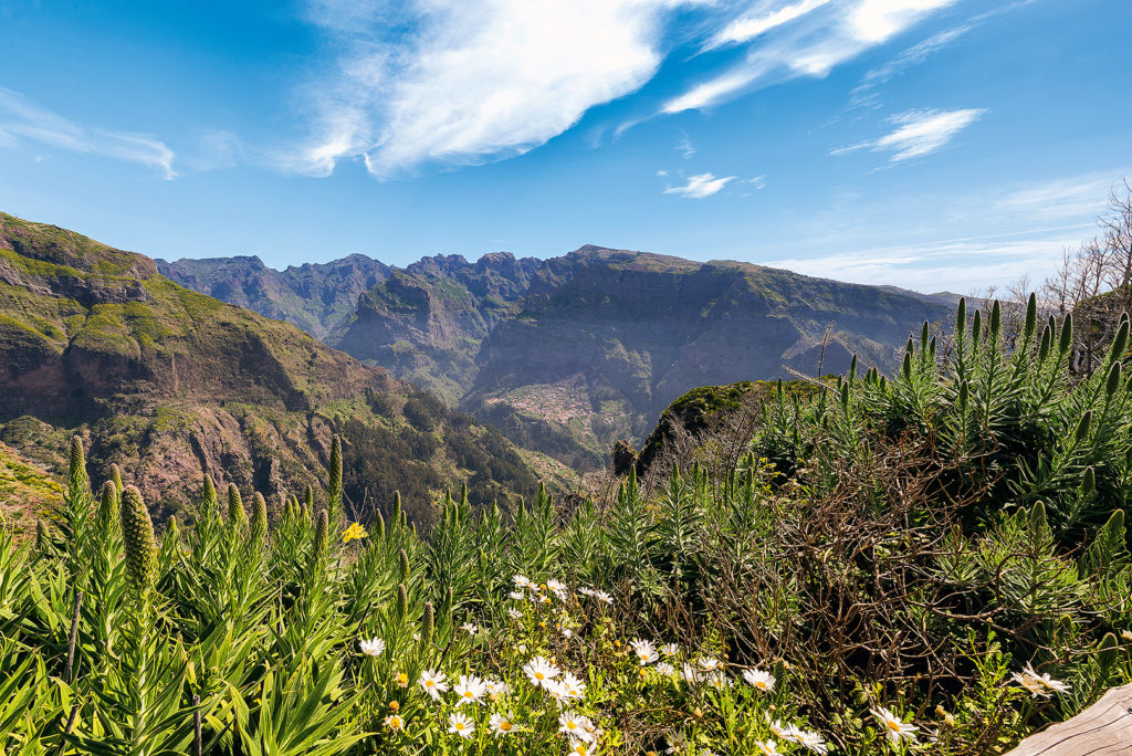 Madeira Landschaft bei Câmara de Lobos
