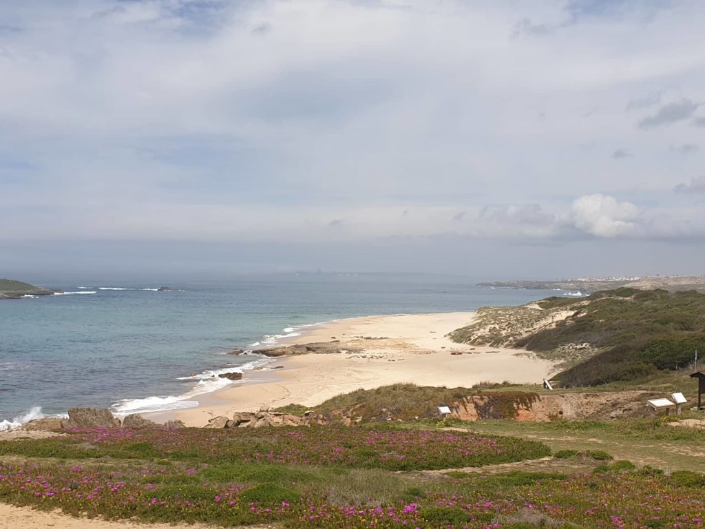 Praia do Pessegueiro