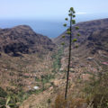 Valle Gran Rey La Gomera