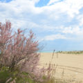 Strand Bibione