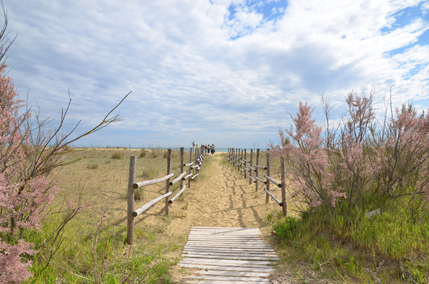 Natur in Bibione