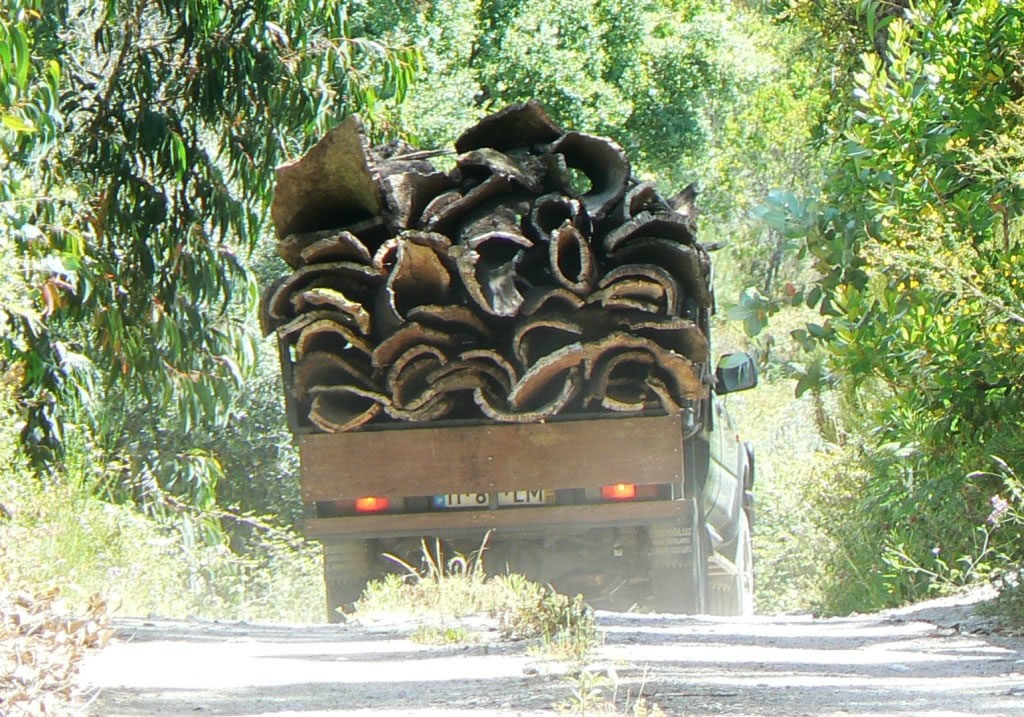 LKW mit Korkrinde