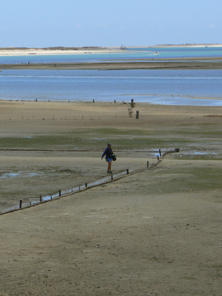 Ria Formosa Naturpark