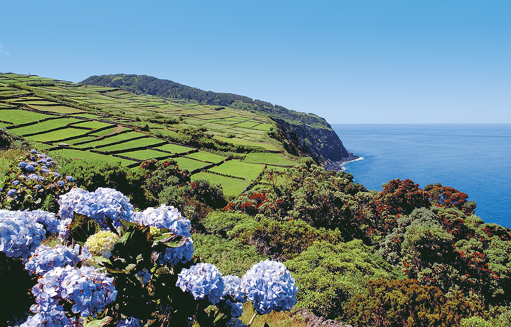 Azoren-Inselvergleich: Terceira typische Landschaft