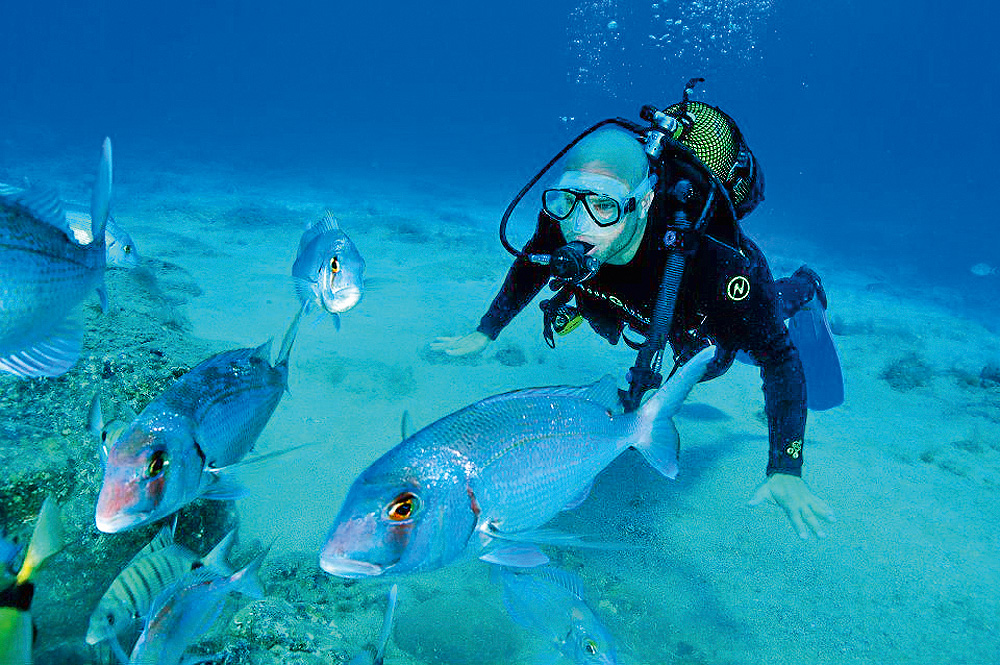 Taucher vor Porto Santo