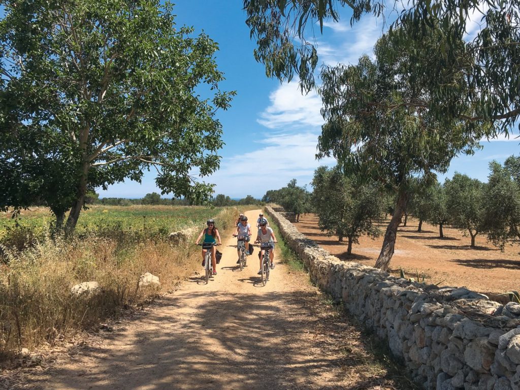 Fahrradtour Fahrradweg Salent