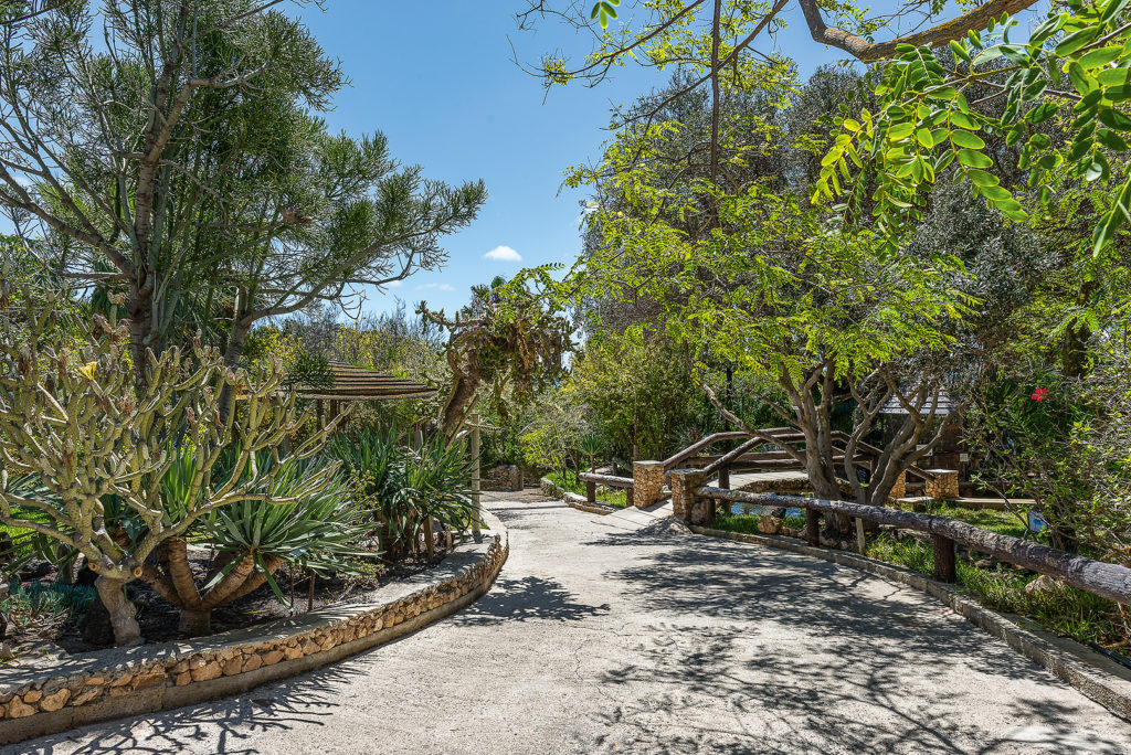 Quinta das Palmeiras Porto Santo