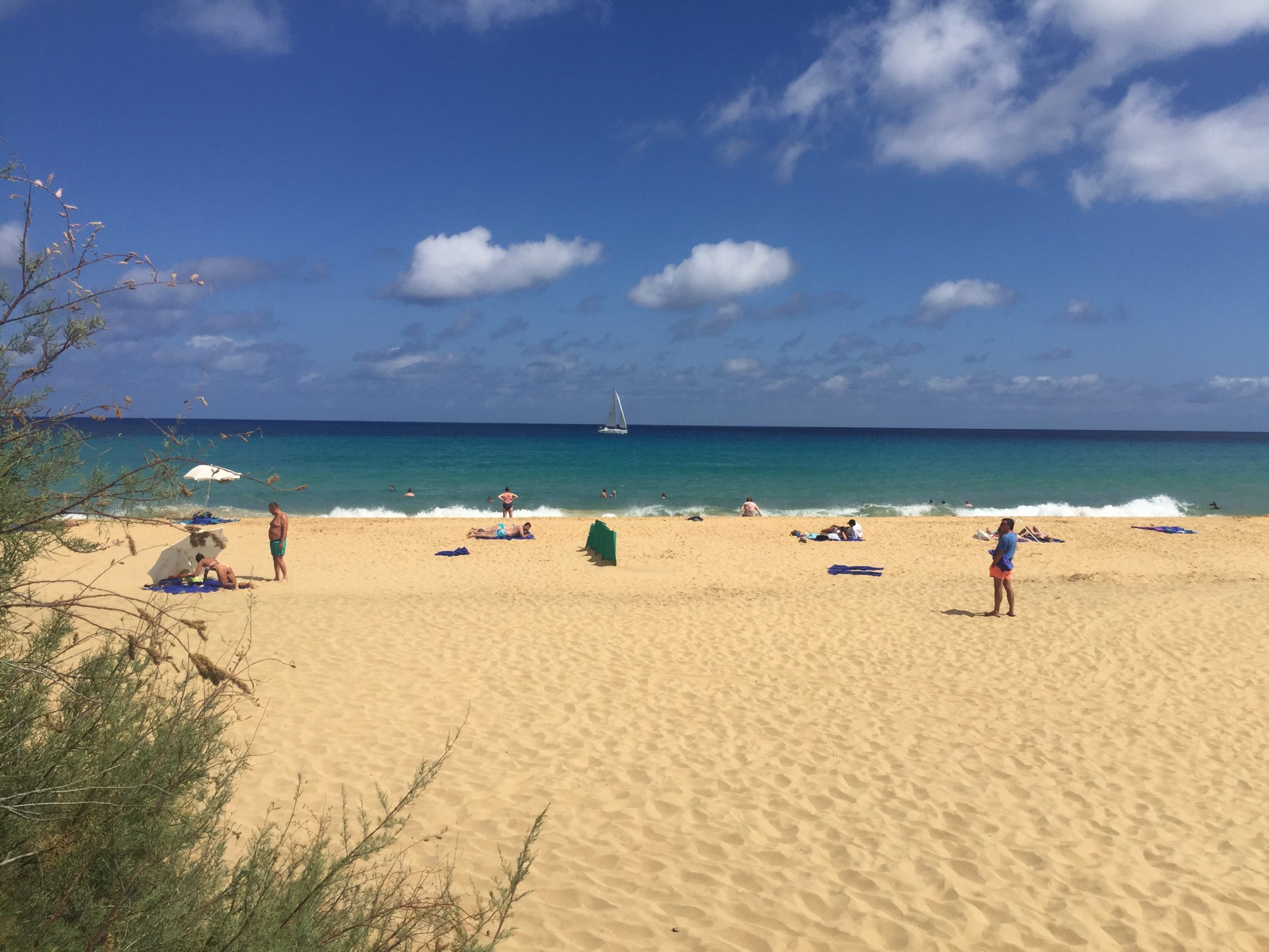 Insel Porto Santo