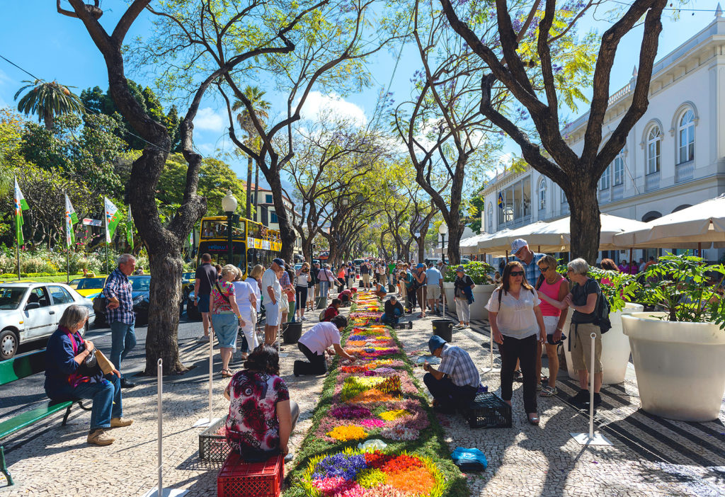 Allee mit einem bunten Blumenteppich und Besucher*innen am Rande 