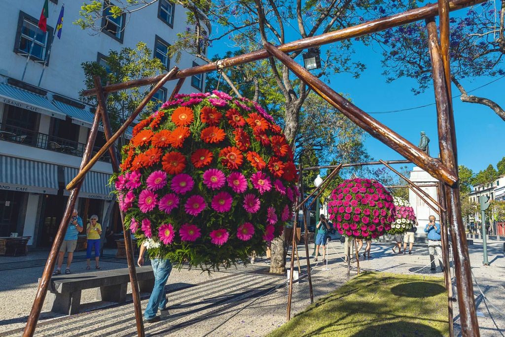 Riesen Pflanzenbälle an einem Gerüst hängen mit bunten Blüten 