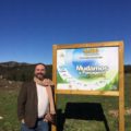 Elio Vicente Montanha Verde