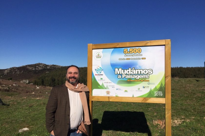 Elio Vicente Montanha Verde