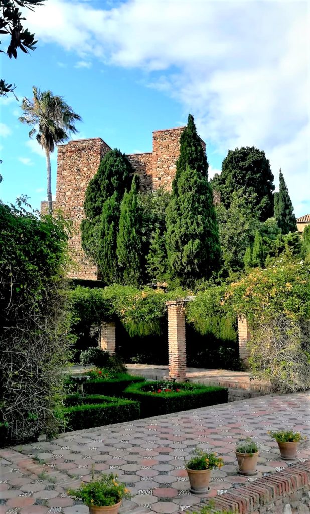 Pflanzen hinter der Mauer der Alcazaba 
