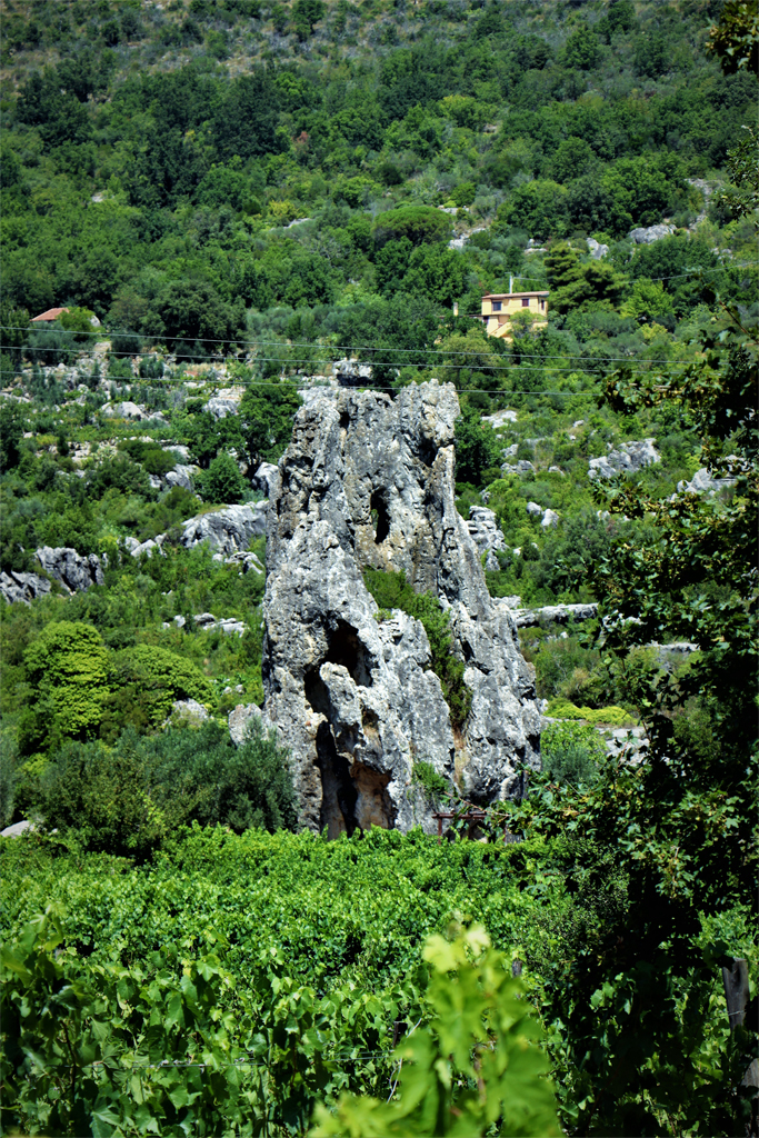 Kalksteinformationen mitten im Grünen auf einem Hang