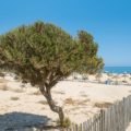 Algarve Meia Praia Lagos