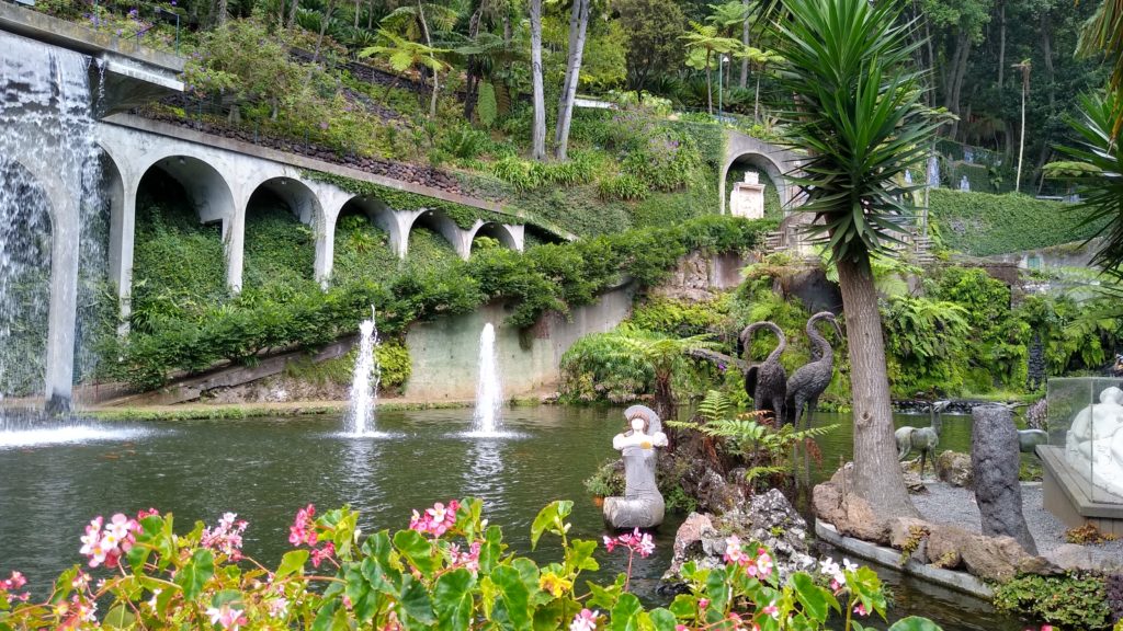 Tropische Blumen und Plfanzen an einem See im Monte Palace Tropical Garden in Funchal, Madeira