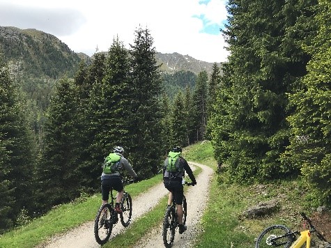 Mountainbiken durch grüne Lanschaften 