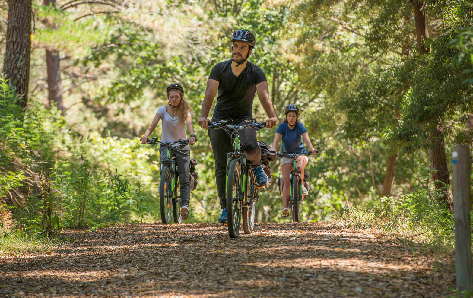 Radfahrer Natur