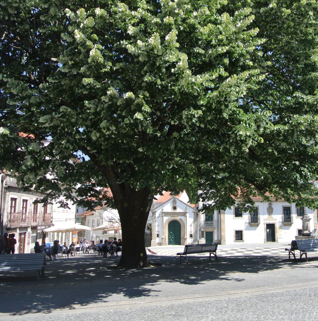 Platz in der Stadt Arouca