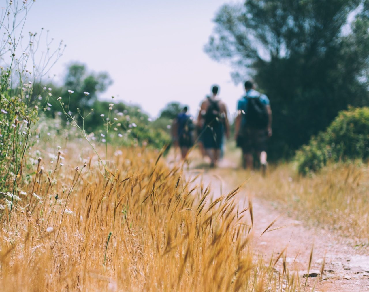 Wanderer auf Feldweg