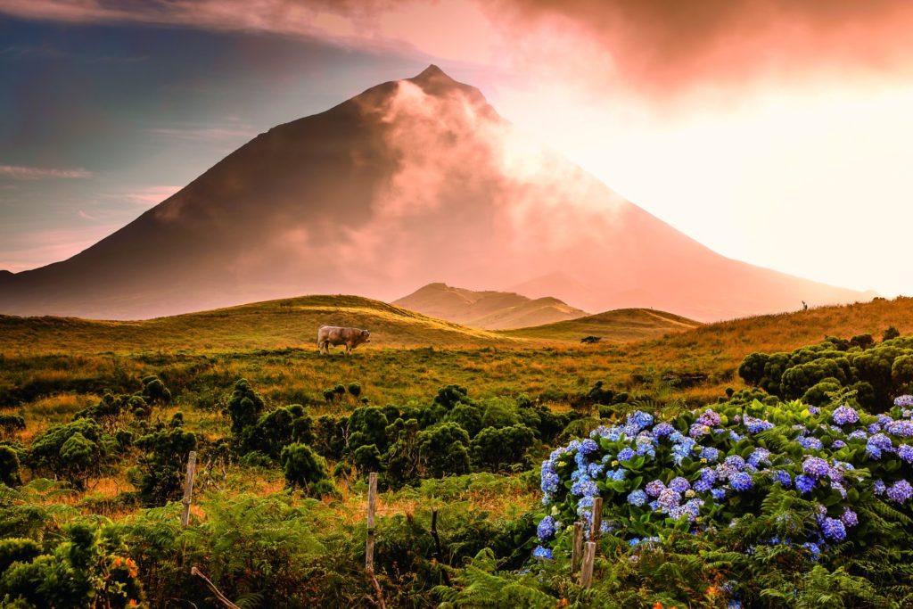 Pico-Besteigung mit atemberaubender Landschaft 